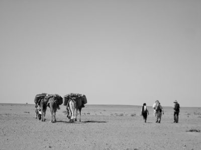 29B66B87-5461-4B9D-AC60-11104A986F1D_1_201_a-scaled