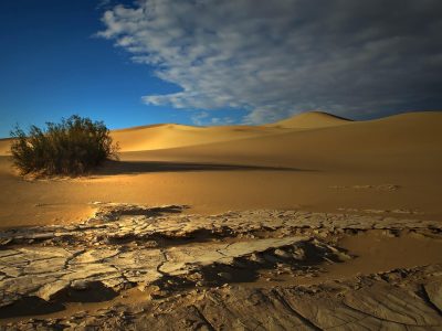Sahara-peace (1) (1)